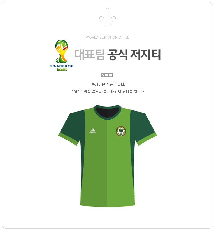 나이지리아 축구 대표팀